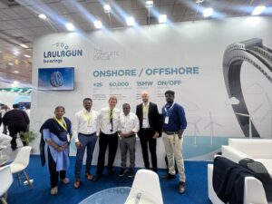 laulagun bearings Windergy India 2023 5