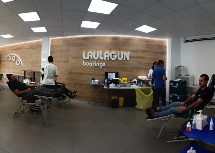 Equipo de Laulagun Bearings