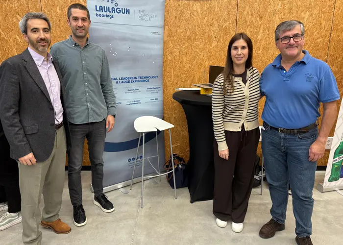 Equipo de Laulagun Bearings